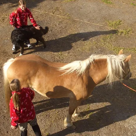Feriegård Sportapartment Wabnig