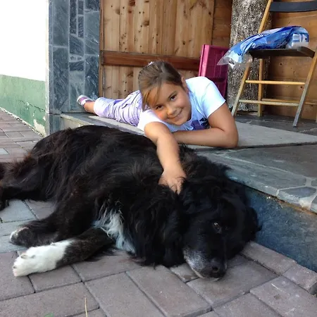 Feriegård Sportapartment Wabnig Moosburg