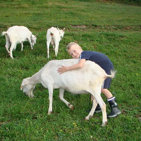 Farm stay Sportapartment Wabnig *