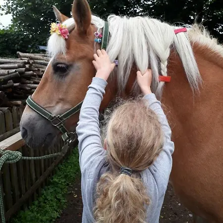 Farm stay Sportapartment Wabnig *