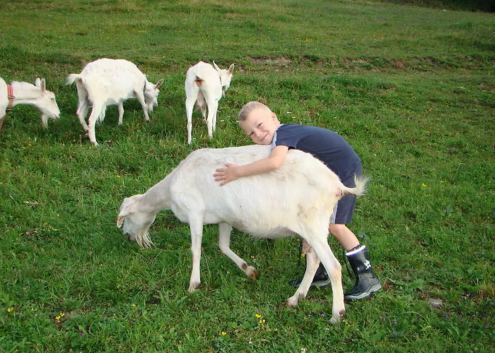 Séjour à la ferme Sportapartment Wabnig *