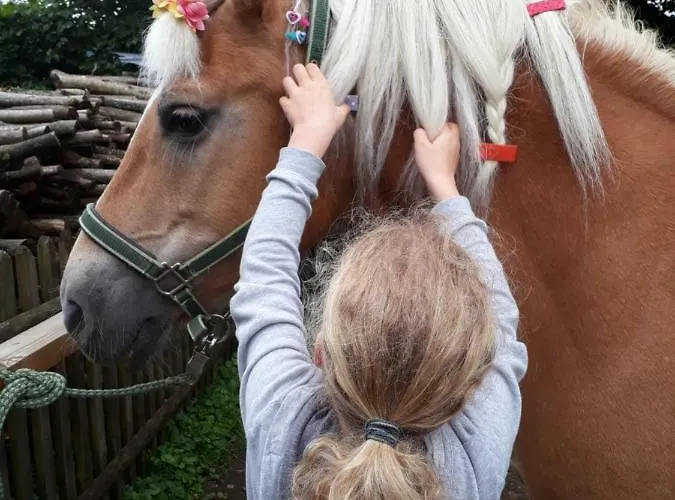 Séjour à la ferme Sportapartment Wabnig *